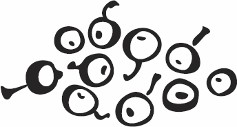 Иллюстрация к книге — Живая косметика [_64.jpg]