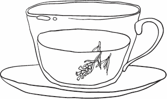 Иллюстрация к книге — Живая косметика [_70.jpg]