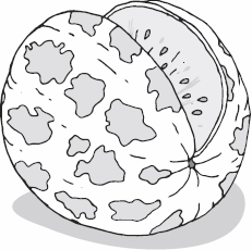 Иллюстрация к книге — Живая косметика [_72.jpg]