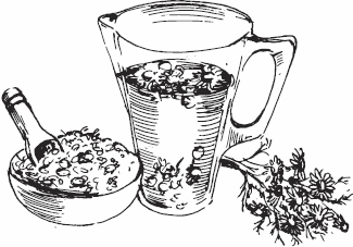 Иллюстрация к книге — Живая косметика [_77.jpg]