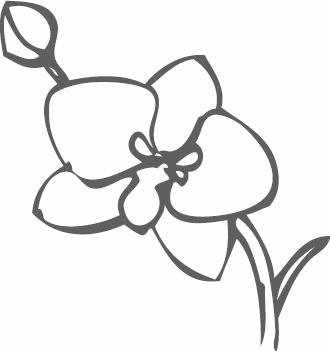 Иллюстрация к книге — Живая косметика [_82.jpg]