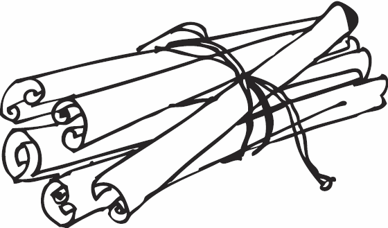 Иллюстрация к книге — Живая косметика [_91.jpg]