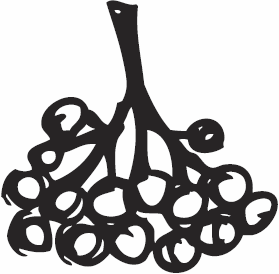 Иллюстрация к книге — Живая косметика [_99.jpg]