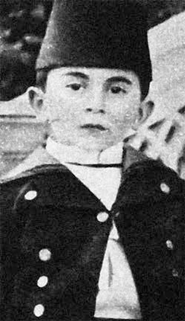 Иллюстрация к книге — Мой отец Абдул-Хамид, или Исповедь дочери последнего султана Османской империи [i_006.jpg]