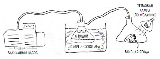 Иллюстрация к книге — Ингредиенты. Странные химические свойства того, что мы едим, пьем и наносим на кожу [i_022.jpg]