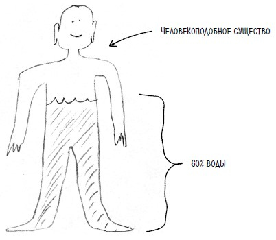 Иллюстрация к книге — Ингредиенты. Странные химические свойства того, что мы едим, пьем и наносим на кожу [i_028.jpg]