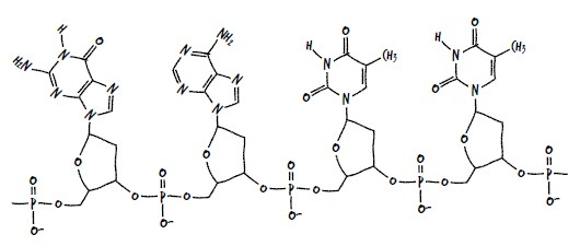 Иллюстрация к книге — Ингредиенты. Странные химические свойства того, что мы едим, пьем и наносим на кожу [i_041.jpg]