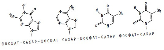 Иллюстрация к книге — Ингредиенты. Странные химические свойства того, что мы едим, пьем и наносим на кожу [i_042.jpg]