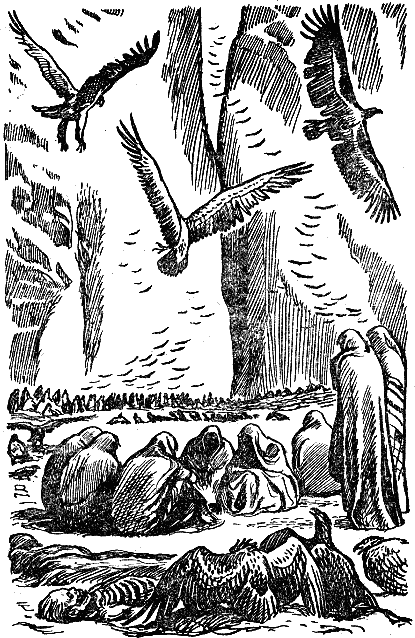 Иллюстрация к книге — Саламбо [i_012.jpg]