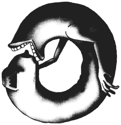 Иллюстрация к книге — Психология эволюции. Руководство по освобождению от запрограммированного поведения [i_006.jpg]