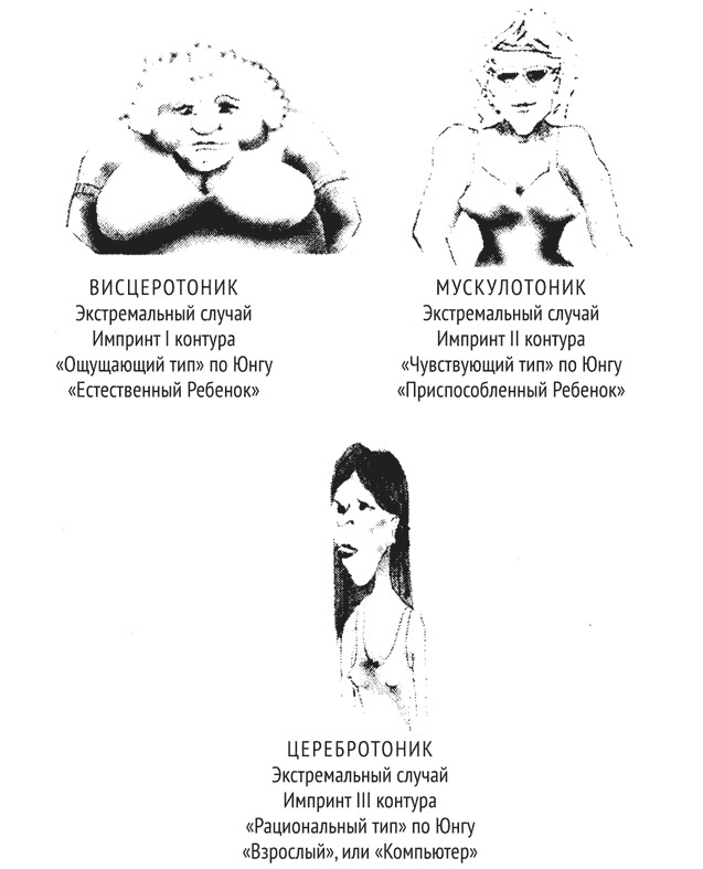 Иллюстрация к книге — Психология эволюции. Руководство по освобождению от запрограммированного поведения [i_024.jpg]