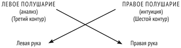 Иллюстрация к книге — Психология эволюции. Руководство по освобождению от запрограммированного поведения [i_025.jpg]