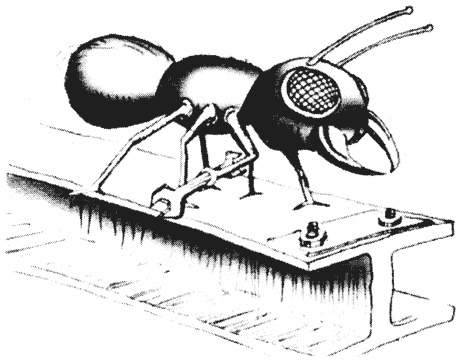 Иллюстрация к книге — Психология эволюции. Руководство по освобождению от запрограммированного поведения [i_028.jpg]