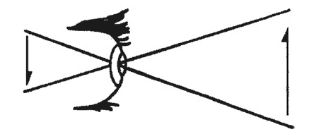 Иллюстрация к книге — Психология эволюции. Руководство по освобождению от запрограммированного поведения [i_044.jpg]