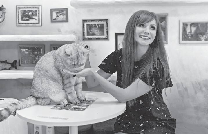 Иллюстрация к книге — Южная Корея. Узнать и полюбить [i_031.jpg]