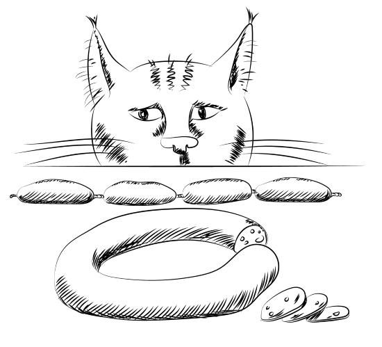 Иллюстрация к книге — Ментальный алхимик. Как получить доступ к подсознанию и обрести уверенность [i_010.jpg]