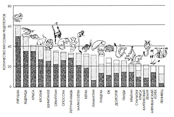Иллюстрация к книге — Чувства: Нейробиология сенсорного восприятия [i_009.jpg]