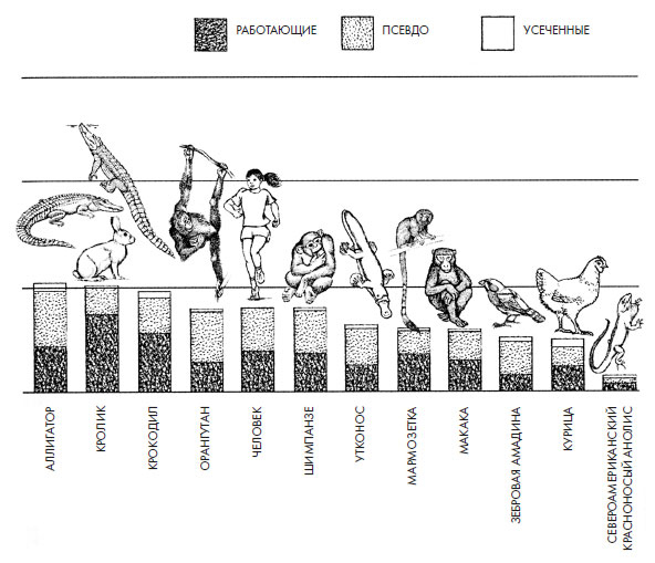 Иллюстрация к книге — Чувства: Нейробиология сенсорного восприятия [i_012.jpg]