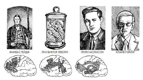 Иллюстрация к книге — Чувства: Нейробиология сенсорного восприятия [i_027.jpg]