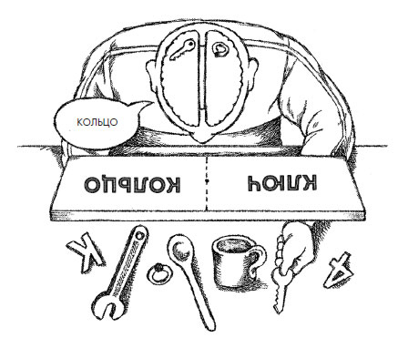 Иллюстрация к книге — Чувства: Нейробиология сенсорного восприятия [i_033.jpg]