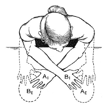 Иллюстрация к книге — Чувства: Нейробиология сенсорного восприятия [i_037.jpg]