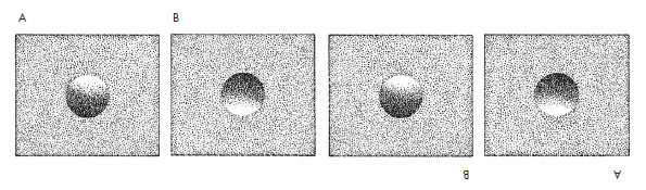 Иллюстрация к книге — Чувства: Нейробиология сенсорного восприятия [i_041.jpg]
