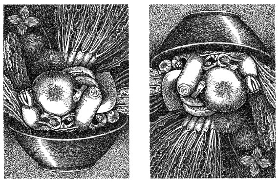 Иллюстрация к книге — Чувства: Нейробиология сенсорного восприятия [i_044.jpg]