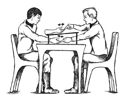 Иллюстрация к книге — Чувства: Нейробиология сенсорного восприятия [i_050.jpg]