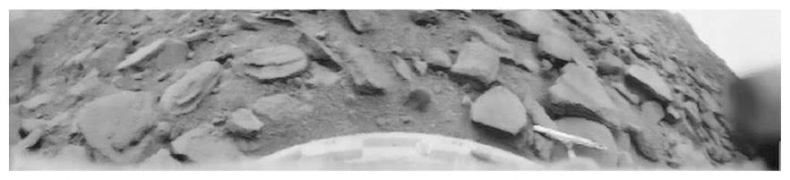 Иллюстрация к книге — Когда у Земли было две Луны. Планеты-каннибалы, ледяные гиганты, грязевые кометы и другие светила ночного неба [i_002.jpg]