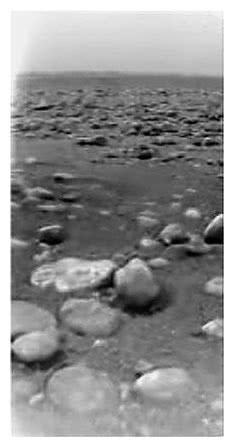 Иллюстрация к книге — Когда у Земли было две Луны. Планеты-каннибалы, ледяные гиганты, грязевые кометы и другие светила ночного неба [i_003.jpg]