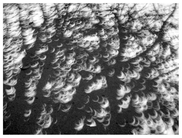 Иллюстрация к книге — Когда у Земли было две Луны. Планеты-каннибалы, ледяные гиганты, грязевые кометы и другие светила ночного неба [i_056.jpg]