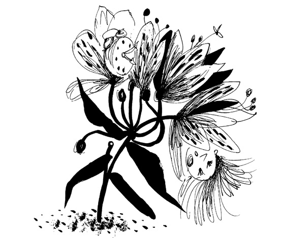 Иллюстрация к книге — Школа Кати Ершовой. Дикари и принцессы [i_002.jpg]