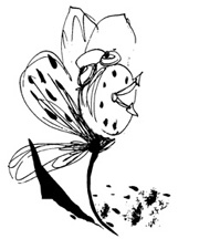 Иллюстрация к книге — Школа Кати Ершовой. Дикари и принцессы [i_003.jpg]