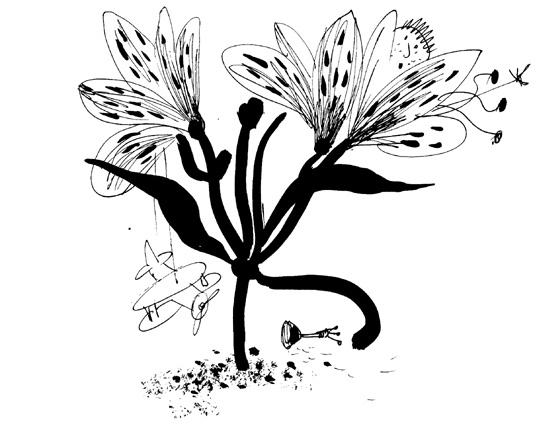 Иллюстрация к книге — Школа Кати Ершовой. Дикари и принцессы [i_010.jpg]