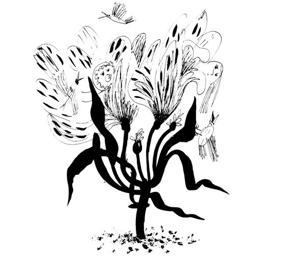 Иллюстрация к книге — Школа Кати Ершовой. Дикари и принцессы [i_012.jpg]