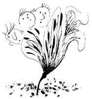 Иллюстрация к книге — Школа Кати Ершовой. Дикари и принцессы [i_013.jpg]