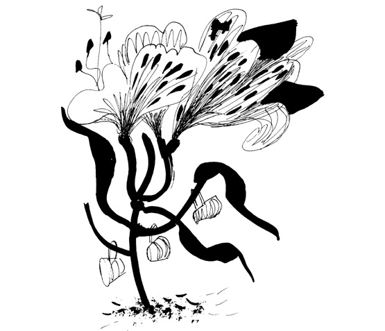 Иллюстрация к книге — Школа Кати Ершовой. Дикари и принцессы [i_014.jpg]