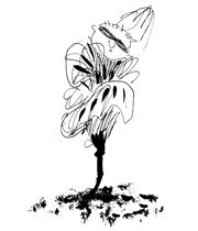 Иллюстрация к книге — Школа Кати Ершовой. Дикари и принцессы [i_017.jpg]