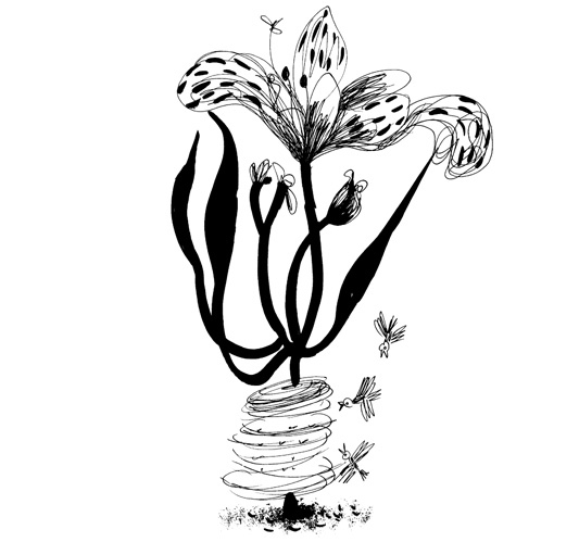 Иллюстрация к книге — Школа Кати Ершовой. Дикари и принцессы [i_025.jpg]