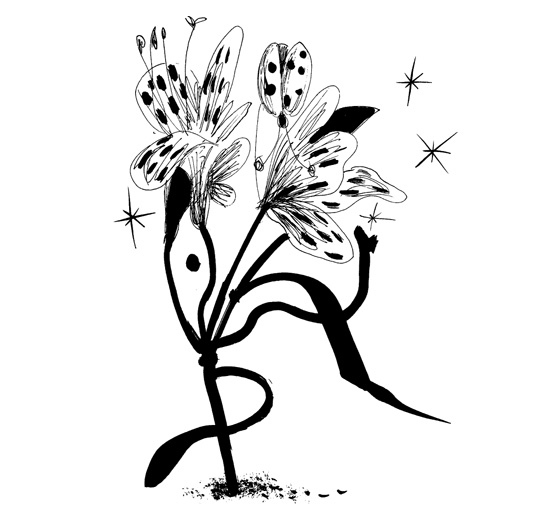 Иллюстрация к книге — Школа Кати Ершовой. Дикари и принцессы [i_028.jpg]