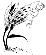 Иллюстрация к книге — Школа Кати Ершовой. Дикари и принцессы [i_031.jpg]