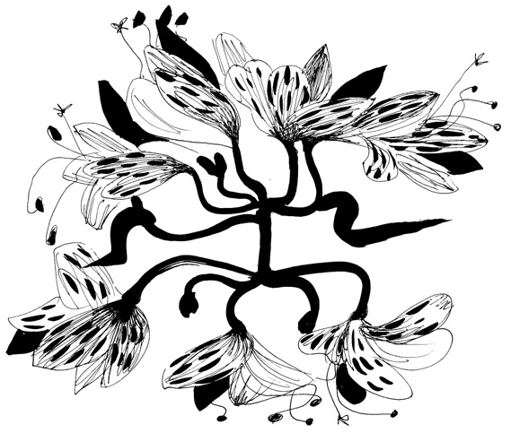 Иллюстрация к книге — Школа Кати Ершовой. Дикари и принцессы [i_032.jpg]