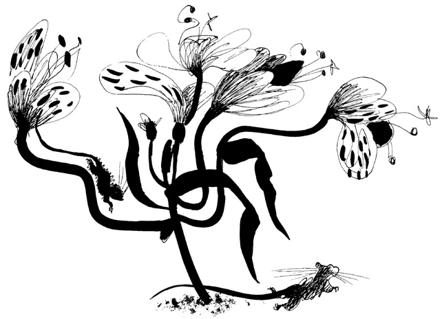 Иллюстрация к книге — Школа Кати Ершовой. Дикари и принцессы [i_033.jpg]