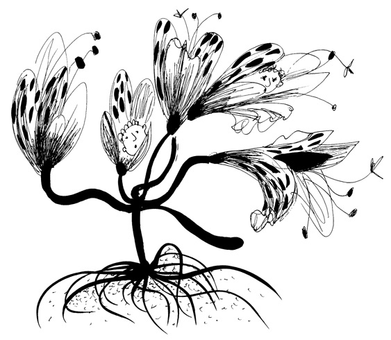 Иллюстрация к книге — Школа Кати Ершовой. Дикари и принцессы [i_039.jpg]