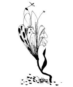 Иллюстрация к книге — Школа Кати Ершовой. Дикари и принцессы [i_040.jpg]