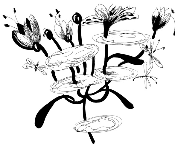 Иллюстрация к книге — Школа Кати Ершовой. Дикари и принцессы [i_041.jpg]