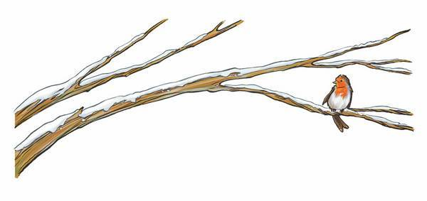 Иллюстрация к книге — История о погасших огнях [i_003.jpg]