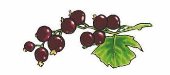 Иллюстрация к книге — История о погасших огнях [i_006.jpg]