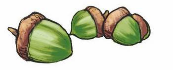 Иллюстрация к книге — История о погасших огнях [i_008.jpg]