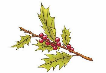 Иллюстрация к книге — История о погасших огнях [i_021.jpg]